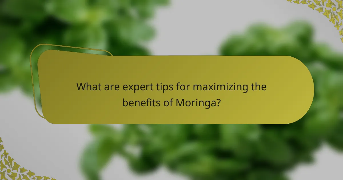 What are expert tips for maximizing the benefits of Moringa?