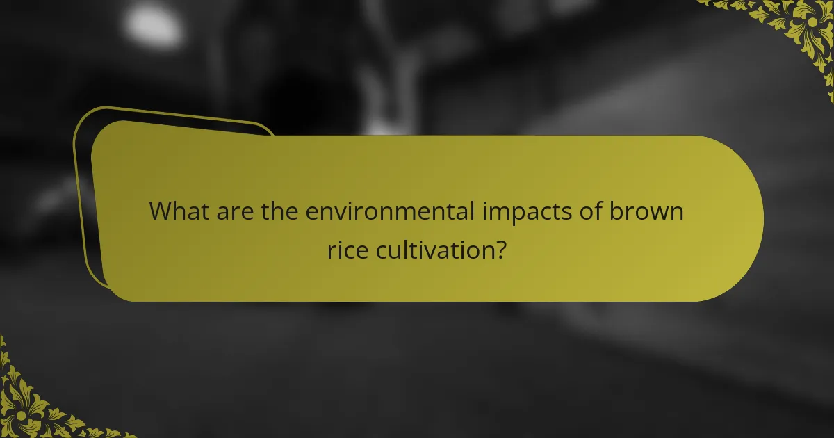 What are the environmental impacts of brown rice cultivation?